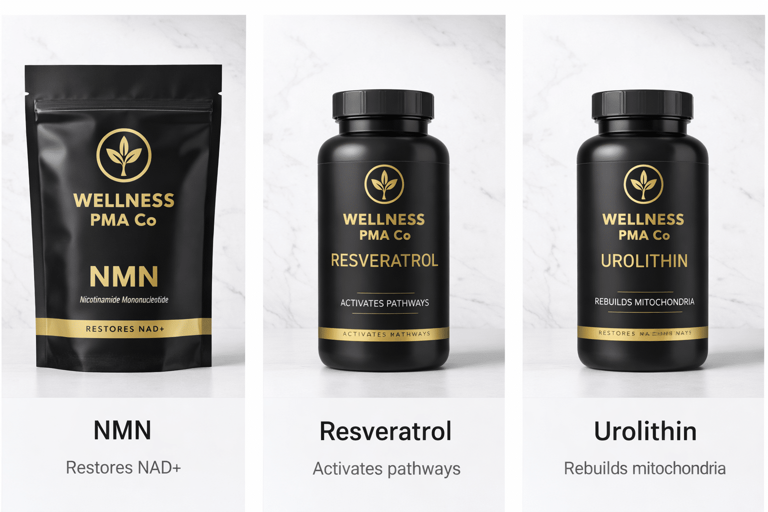 Longevity Trinity Stack